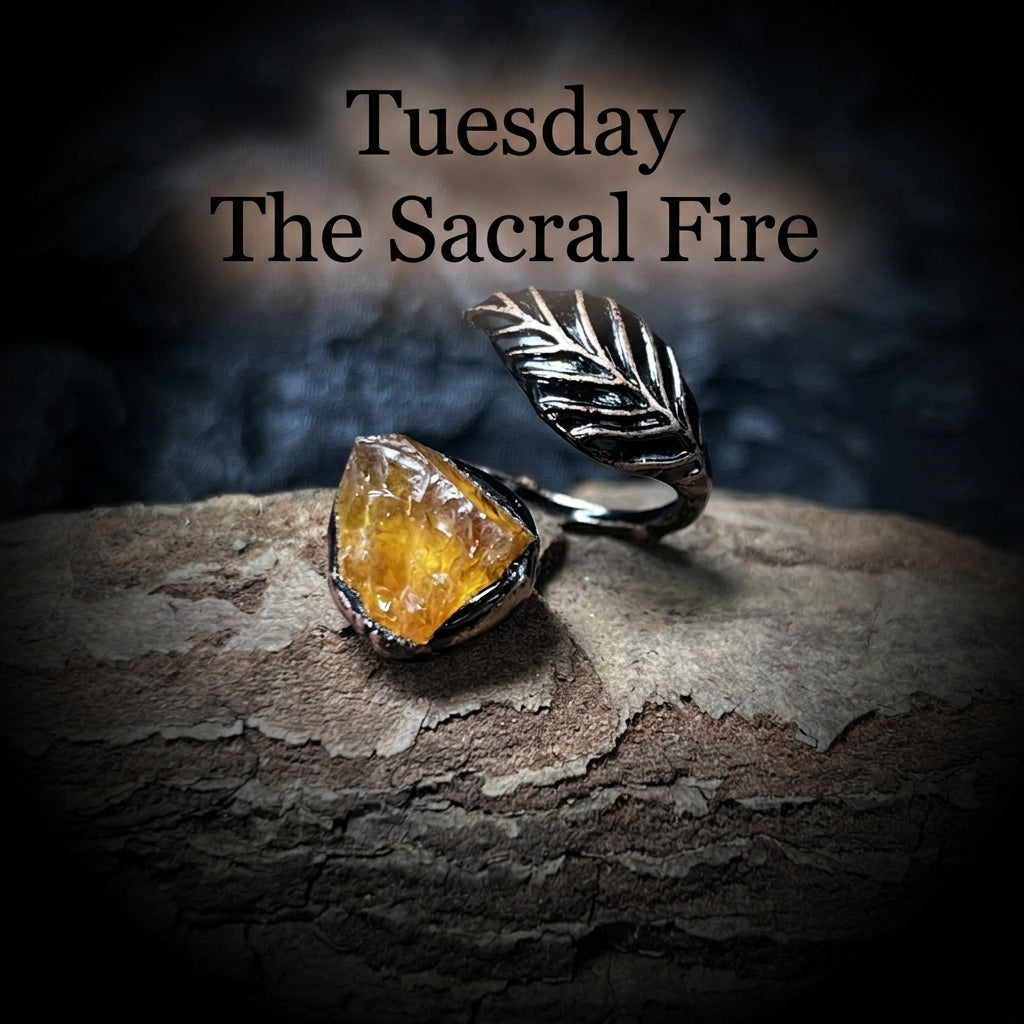 The Alchemist’s Wardrobe — 7-Day Raw Elemental Ring Set