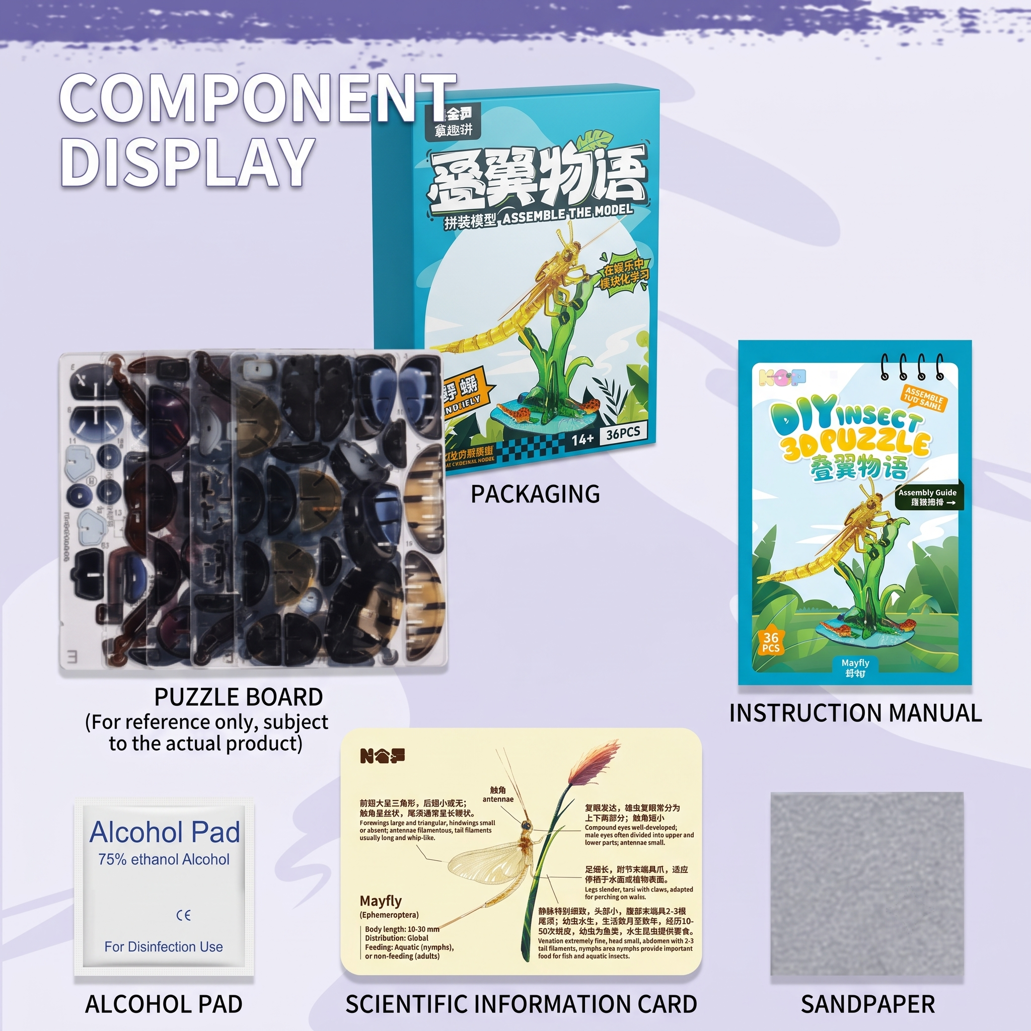 3D Acrylic Mayfly Puzzle Kit - Wing-Story Series | Glue-Free Mechanical Nature Model