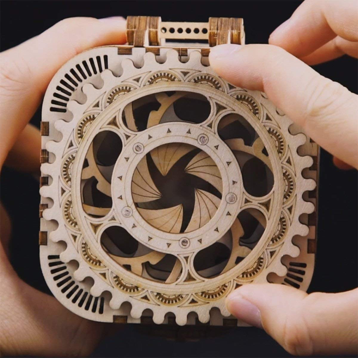 The Cryptic Vault: 3D Wooden Puzzle Mystery Treasure Box