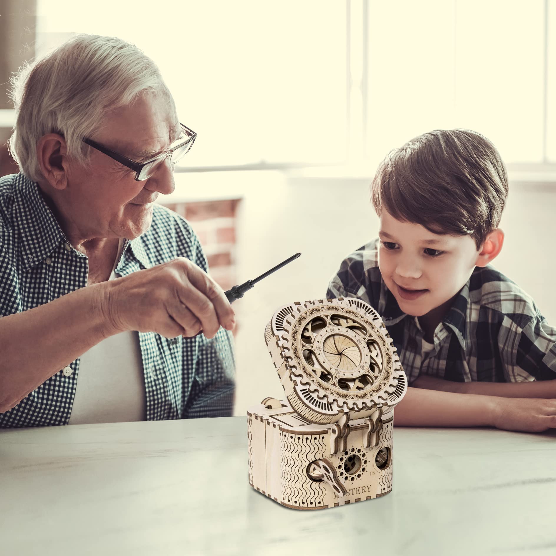 The Cryptic Vault: 3D Wooden Puzzle Mystery Treasure Box